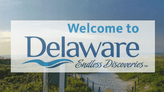 Firma w USA Delaware